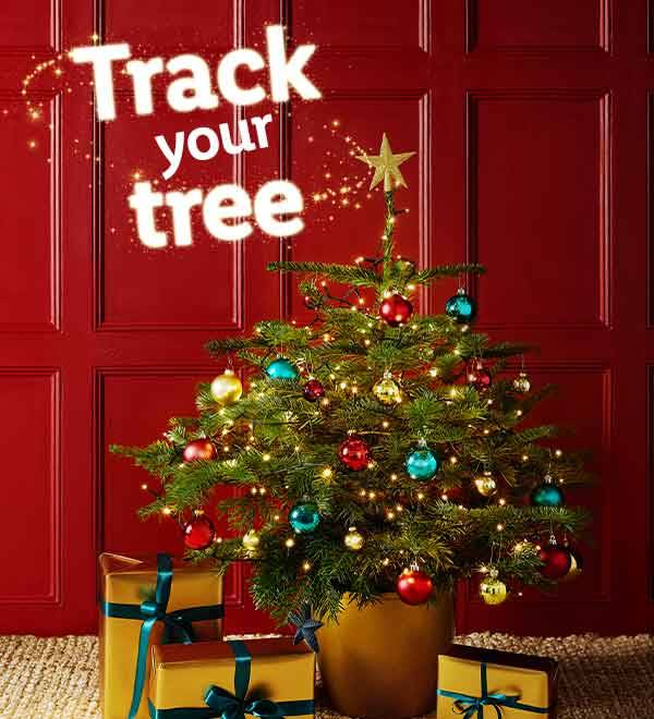 Track your tree