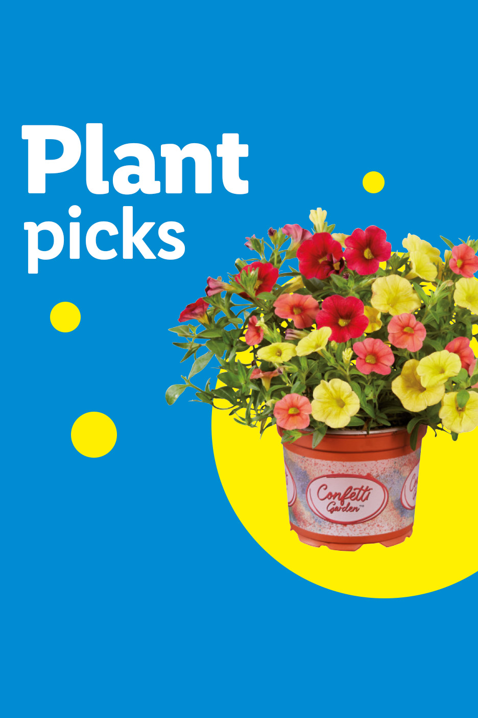 Plant picks: a pot of colorful petunias in red, yellow, and pink against a blue background.