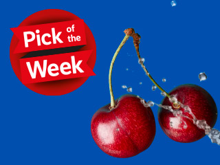 Pick of the Week